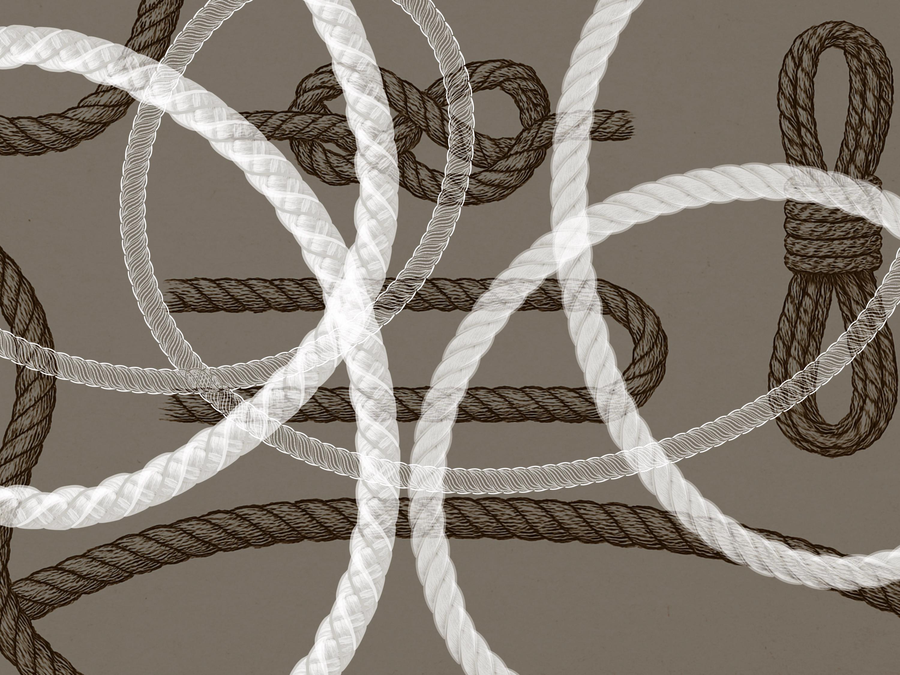 Procreate Ropes Braids Chains Brush Set preview 8