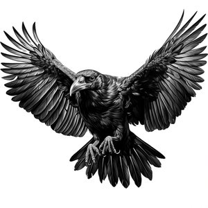 Procreate Crow Raven Brush Stamps - Etsy