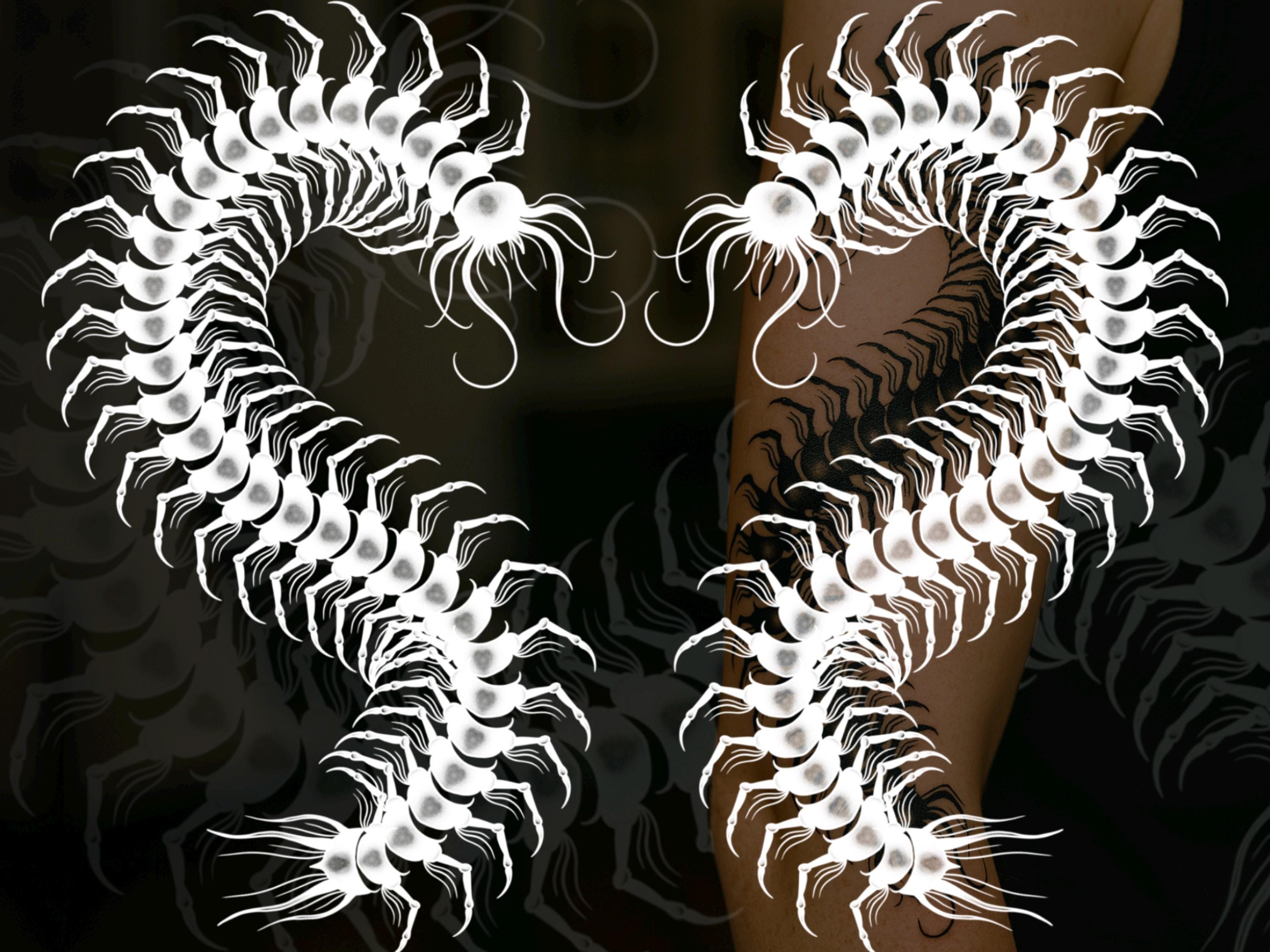Thumbnail 5