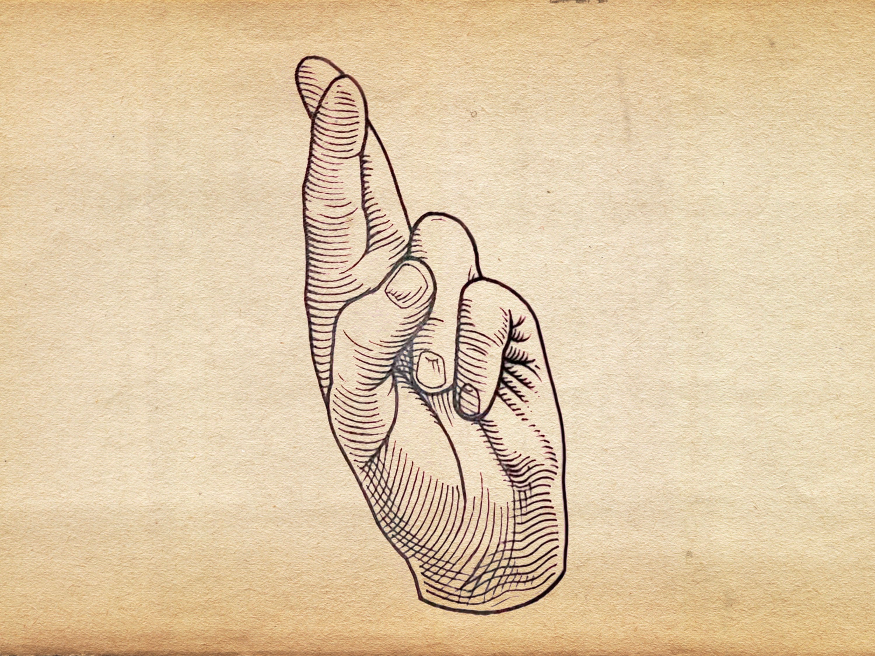 Procreate Engraving Ancient Engraving Vintage Brush Stamps preview 8