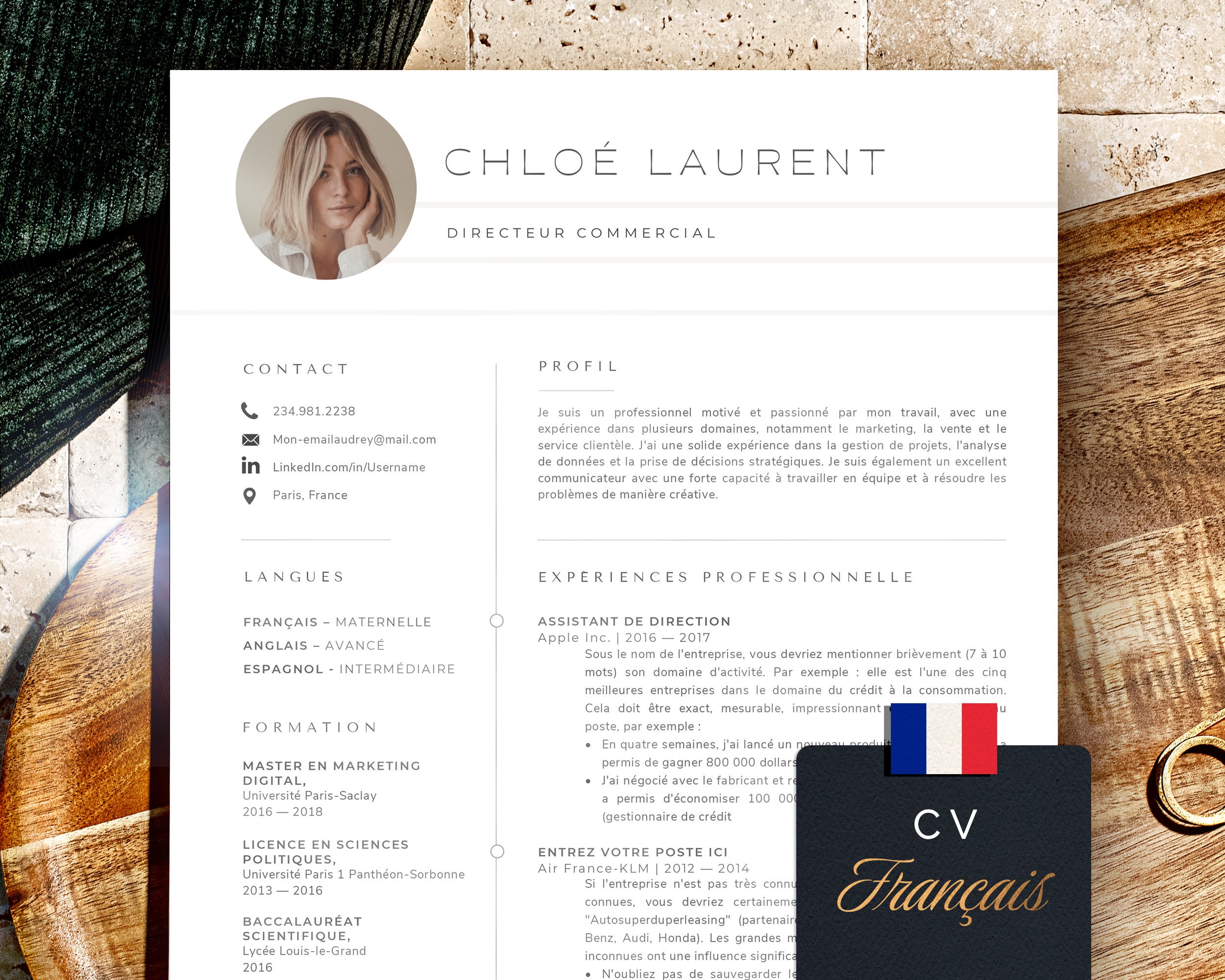Cv Francais Mod les De CV Simples Et Professionnels Mod le De Lettre cv-francais-mod-les-de-cv-simples-et-professionnels-mod-le-de-lettre