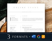2025 Cv template Google Docs Resume Template, Modern Executive Resume Template Word, Pages and Google Doc