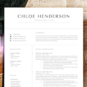 Chef resume template for vice president, principal or top management.