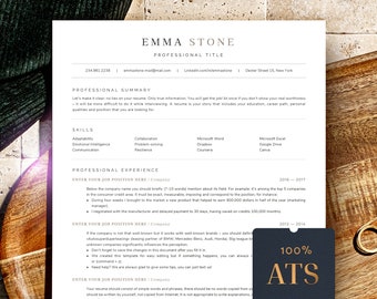 ATS Friendly Resume Template ats, Executive Resume Template Google Docs, MS Word + Mac Pages, Clean Professional ATS Resume - Cv Template