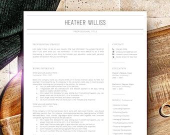 Finance Director Resume Template, President Cv, Finance Manager Resume, Business CV, Accountant Resume Template Word, Accounting Cv Template