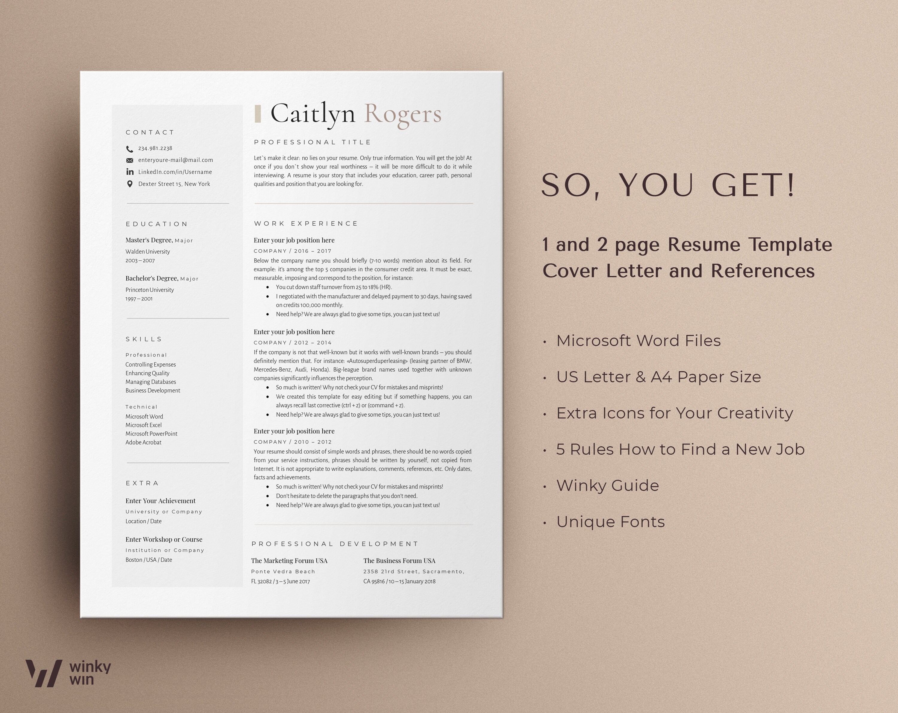 Director of Sales Resume Template Inside Sales Representative Cv Director of Sales Resume Template Inside Sales Representative Cv