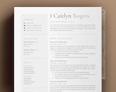 Director of Sales Resume Template, Inside Sales Representative, Cv Template Sales Associate Resume Template Word, Regional Sales Manager