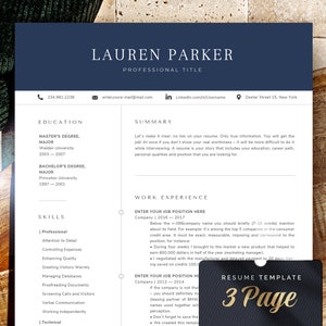 Professional Resume Template, Cv Template Modern Resume and Cover Letter Template, 1 - 3 page Cv Formats, Executive Resume Template Word