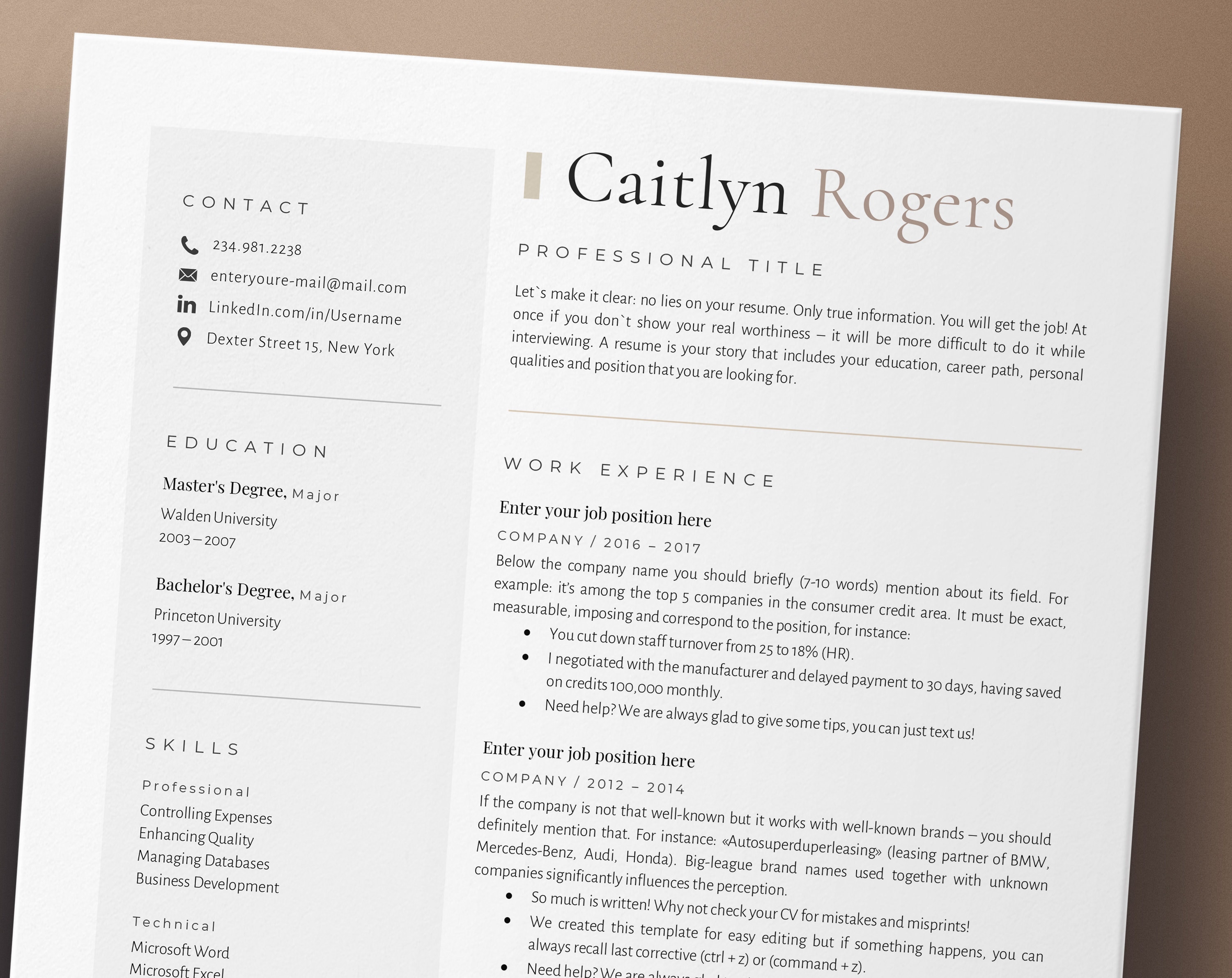Director of Sales Resume Template Inside Sales Representative Cv Director of Sales Resume Template Inside Sales Representative Cv