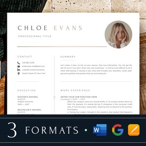 Professional 3 Page Resume Template Word, Modern Minimalist Cv Template Pages + Google Docs, Creative Executive Curriculum Vitae with Photo