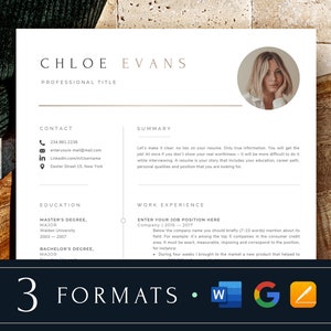 Resume Template Google Docs Cv Template Word + Mac Pages, Professional Cv Template Modern Executive Resume 2023 Cv Design, Resume with photo