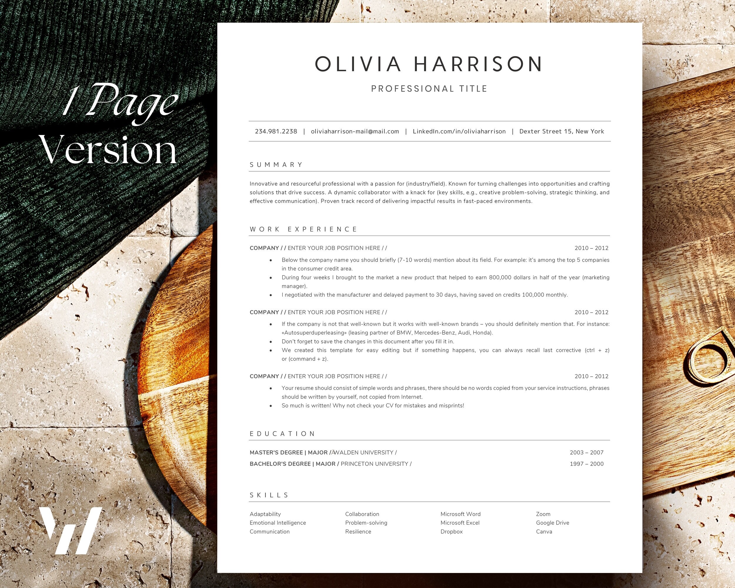 ATS Resume Template Professional, Ats Friendly Resume Google Docs, MS