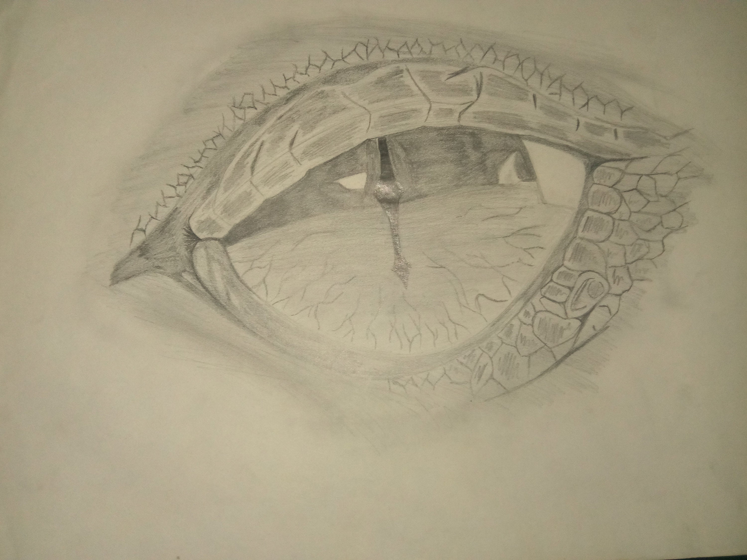 Dragon Eye