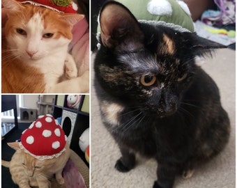 Pet Mushroom Hat Costume