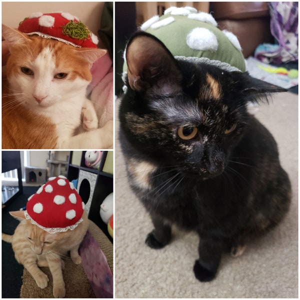 Pet Mushroom Hat Costume