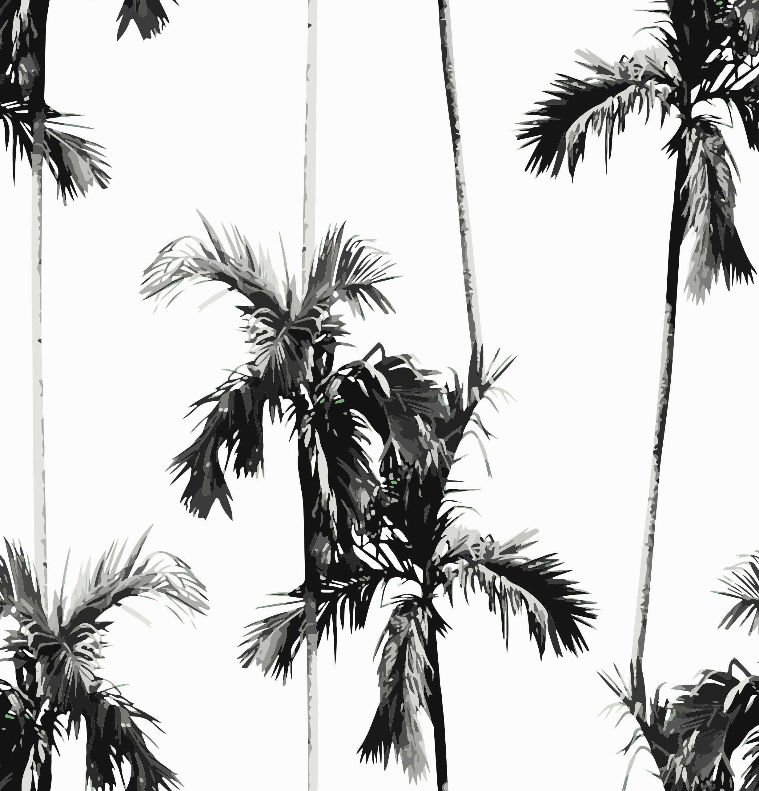 Black and White Palm Tree Wallpaper Tropical Peel and Stick Etsy