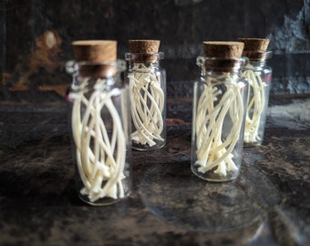 Snake Ribs Curio Vial: Real Animal Bones, Witchcraft Altar Supply
