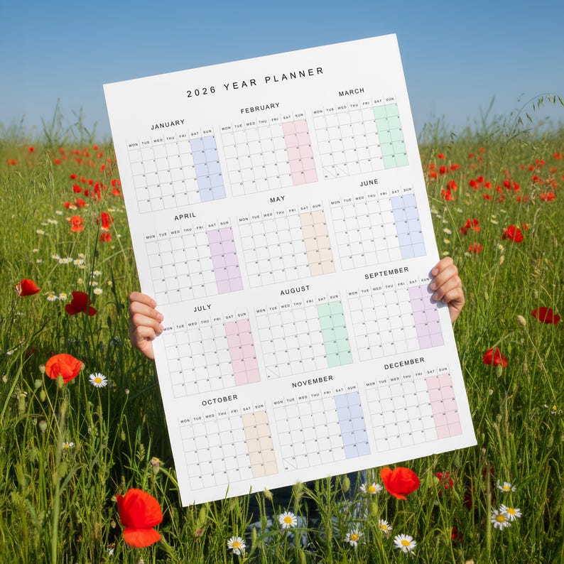 May include: A large 2026 year planner held in a field of wildflowers. The calendar is white with monthly layouts, each with a different pastel color highlight. The text "2026 YEAR PLANNER" is at the top.
