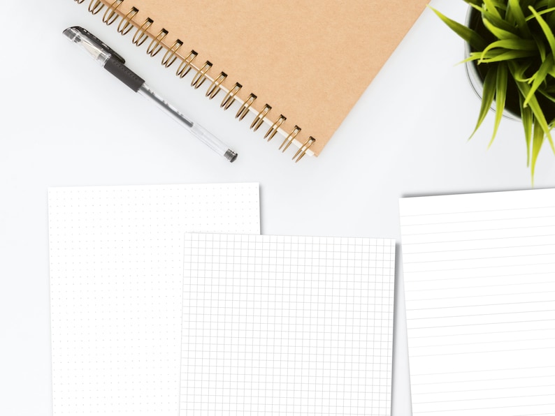May include: A flat lay of a white desk with a brown notebook, a black pen, and three sheets of paper. The paper is blank and has different grid patterns. A potted plant is in the top right corner of the image.
