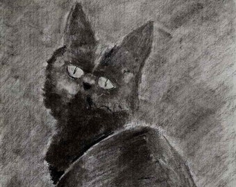 Black Cat Art Print Graphite Drawing by Cassandra Brown