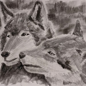 Wolf Love Art Print Graphite Drawing by Cassandra Brown