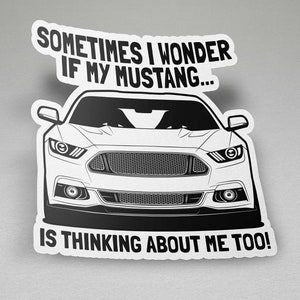 Mustang Sticker, Mustang S550, Mustang GT, Mustang Funny Sticker, Mustang Enthusiasts, Mustang Gift Idea, Birthday Gift, Mustang Decal