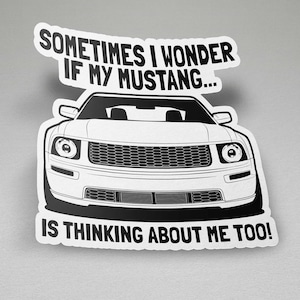 Mustang Sticker, Mustang S197, Mustang Decal, Mustang Gift Idee, Mustang S197 Sticker, Mustang Enthusiast, Mustang Grappige Sticker