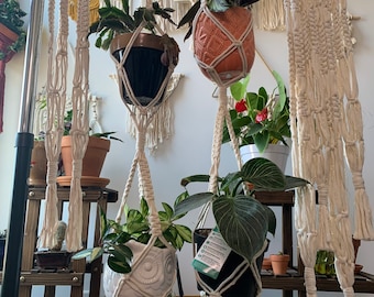 Doble Macrame Plant Hanger