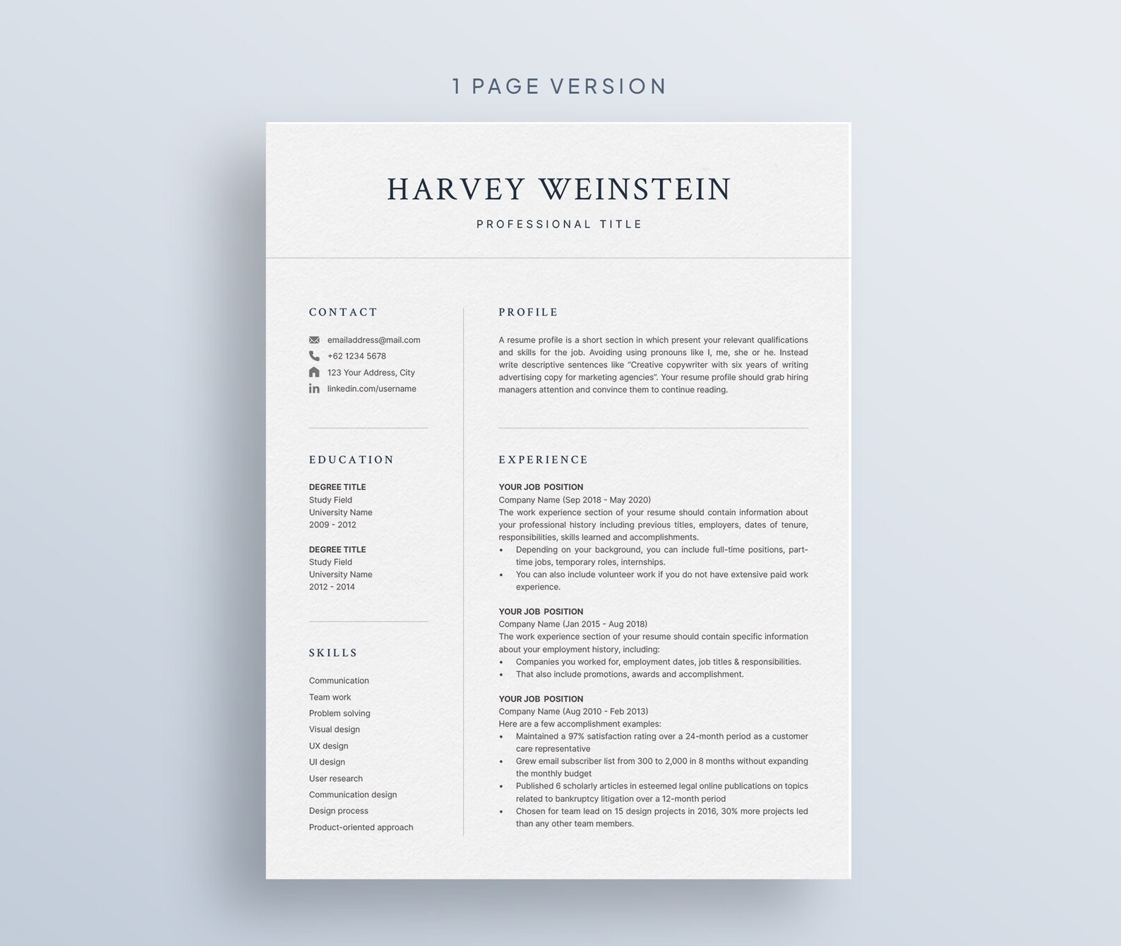 Professional Resume Template for Microsoft Word & Mac Pages - Etsy