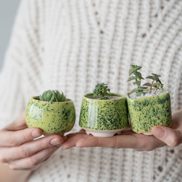 Lime and Green Small Plant Pot - Set of 3 - Ceramic planter for succulent, cactus - Wedding favor - Gift for plantlady Set of succulent pots