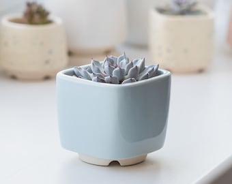 Blue light succulent pots