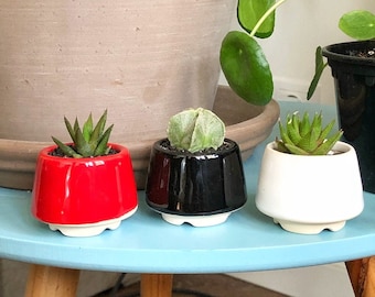 Cone Mini Plant Pot - White Red Black - Ceramic planter for succulent, cactus - Wedding favour - Succulent pot set of 3