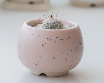 Pink speckled succulent pot - tiny drainage succulent planter