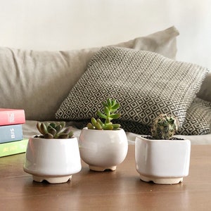 White small plant pot Set of 3 Ceramic planter for succulent, cactus Wedding favor Gift for plant lover Set of succulent pots image 1