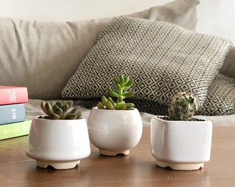 White small plant pot - Set of 3 - Ceramic planter for succulent, cactus - Wedding favor - Gift for plant lover - Set of succulent pots