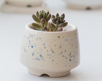 Speckled light yellow cone succulent pot M size, Succulent planter, ceramic cactus pot