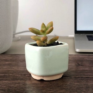 Small Quadro Plant Pot for cactus or succulent - Ceramic planter for succulent, cactus - Wedding favor - Set of succulent pots