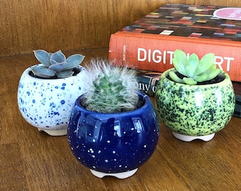 Belly Mini Plant Pot - Spotted set - White Blue Yellow Green - Ceramic planter for succulent, cactus - Wedding favor  Succulent pot set of 3