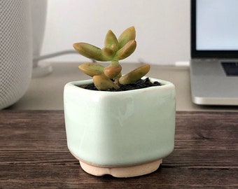 Small Quadro Plant Pot for cactus or succulent - Ceramic planter for succulent, cactus - Wedding favor - Set of succulent pots