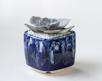 Navy blue succulent pot - Black Sea collection - small 2 inch planter