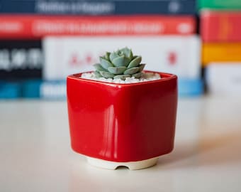 Red small square plant pot for cactus or succulent, Ceramic planter for succulent, cactus