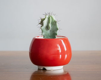 Small red succulent pot, S size, Red round ceramic planter for cactus or succulent