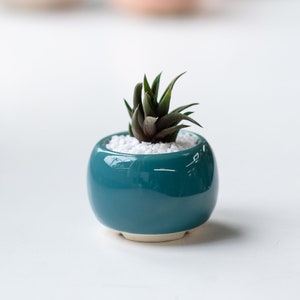 Small teal succulent pot // S size // turquoise round ceramic planter for cactus or succulent