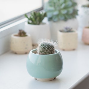 Mint ceramic succulent pot, Round ceramic planter for cactus or succulent image 2