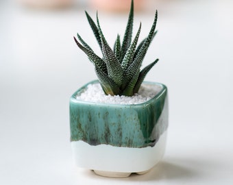 Small ceramic watercolour planter - Emerald 2 inch pot - White succulent square pot