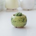 see more listings in the Tiny pots S size section