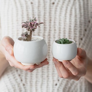 Small white ceramic planter for succulent // Plant lover gift // Little round succulent pot