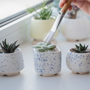 White and blue succulent pot M size, Set of 3, Ceramic planter for succulent, cactus, Wedding favors