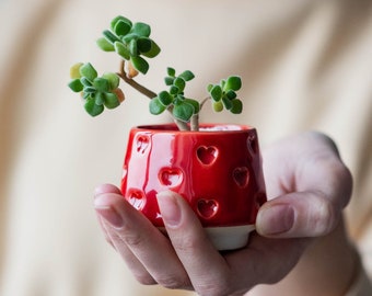 Red small Succulent pot with hearts - Succulent Valentines gift - Mini planter - Ceramic plant pot - Newlywed plant gift