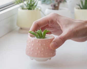 Pink bubble succulent pot - Mini plant planter - Pretty cactus pot - Miniature textured ceramic pots